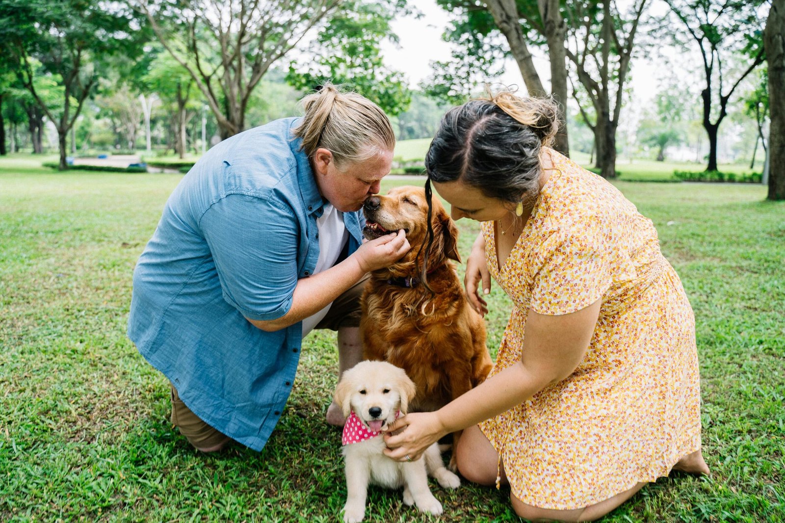 Happy couple bonding with golden retrievers in a lush park setting.
